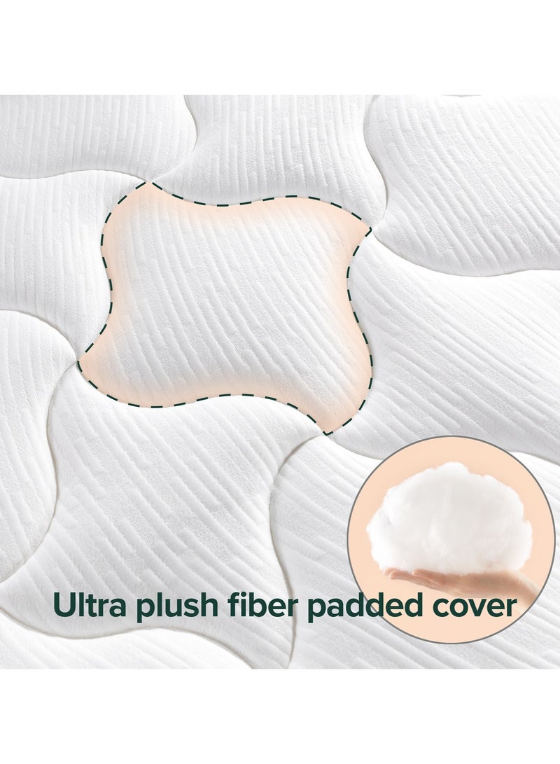 Zinus 30cm Cloud Memory Foam Mattress | Queen Size | Pressure Relieving Comfort | Fiberglass-Free | OEKO-TEX®| CertiPUR-US® Certified | Mattress in a Box | White | 200L × 160W × 30H CM | - Image 2